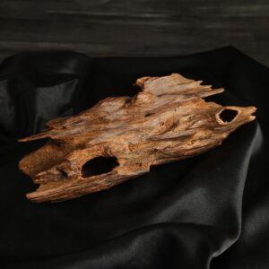 نوادر العود